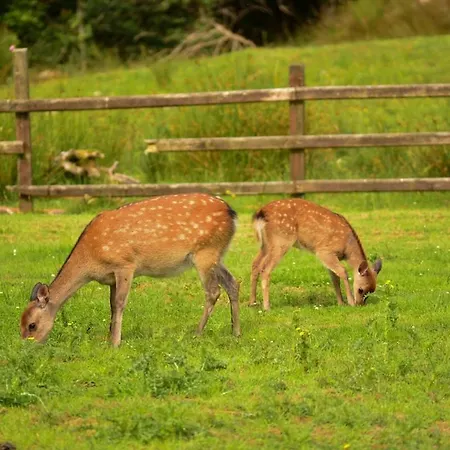 Black Valley * Killarney